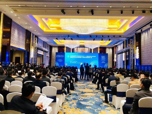 藝術(shù)新引擎，文旅新動(dòng)能——文化與旅游部產(chǎn)業(yè)精品項(xiàng)目交流對(duì)接會(huì)在我市盛大舉行