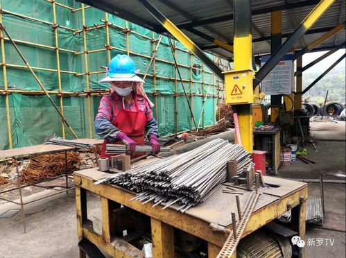 福建鑫鷺鎢制品深加工項(xiàng)目 防疫復(fù)工雙管齊下，建筑勞務(wù)分包助力建設(shè)有序推進(jìn)